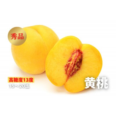 《2023年先行受付》【高糖度約13度】黄桃　秀品　15～20玉