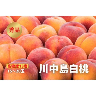 《2024年先行受付》【高糖度13度】川中島白桃　秀品　15～20玉