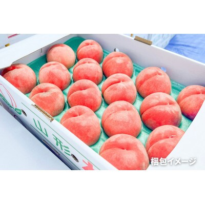 《2024年先行受付》【高糖度13度】川中島白桃　秀品　15～20玉
