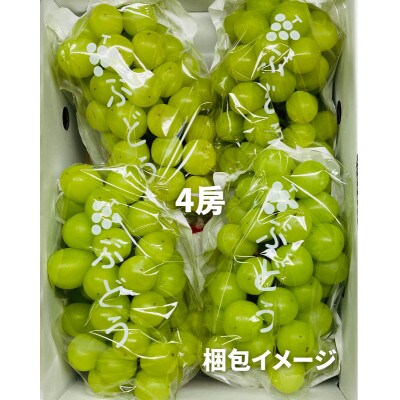 《2024年先行受付》ぶどう「シャインマスカット」　秀品　2～6房(計2kg)