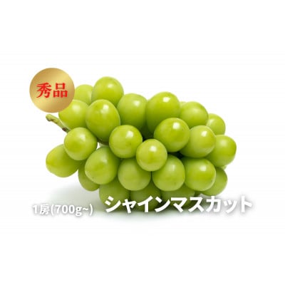 《2024年先行受付》ぶどう「シャインマスカット」　秀品　1房(700g以上)