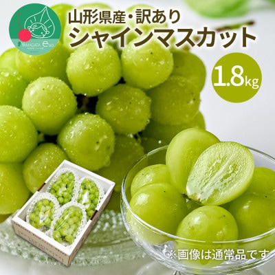 ぶどう シャインマスカット 訳あり 1.8kg (3～5房) 山形県産 【令和8年産 先行受付】