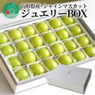 山形県産シャインマスカット ジュエリーBOX 24粒【令和7年産 先行受付】