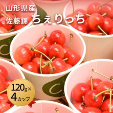 【令和5年産先行受付】さくらんぼ佐藤錦　大粒L玉以上 ちぇりっち 120g×4カップ | ふるさと納税のお礼品