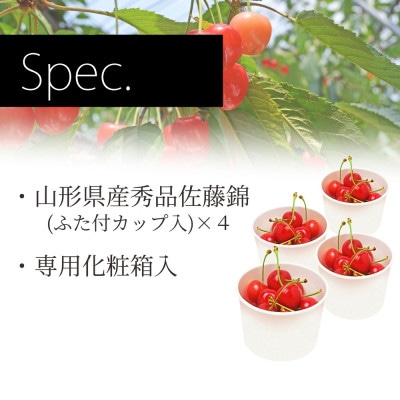 さくらんぼ佐藤錦 L玉以上 120g×4カップ 秀品 ちぇりっち 山形県産 【令和7年産 先行受付】