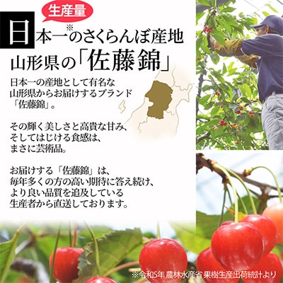 さくらんぼ佐藤錦L玉以上1kg(500g×2)  秀品 ギフト箱入 山形県産【令和7年産 先行受付】