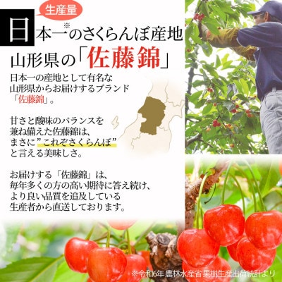 さくらんぼ佐藤錦L玉以上約1kg(500g×2)  秀品 ギフト箱 山形県産【令和8年産 先行受付】