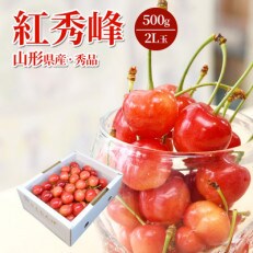 【令和5年産先行受付】さくらんぼ紅秀峰 大粒2L玉以上　500g×1パック