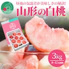 【さとふる限定】白桃 3kg(8～12玉前後) ギフト用 品種おまかせ 山形県産【令和7年産】
