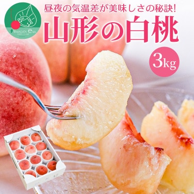 白桃 3kg 8～12玉前後 ギフト用 品種おまかせ 山形県産 【令和8年産 先行予約】