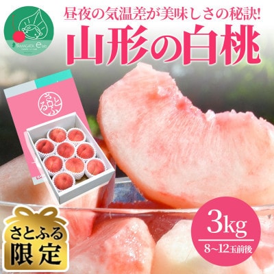 【さとふる限定】◆ただ今発送中◆ 白桃 3kg(8～12玉前後) ギフト用 品種おまかせ 山形県産