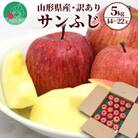 【訳あり】りんご サンふじ 5kg (約14～22玉前後) 山形県産 【令和7年産 先行予約】