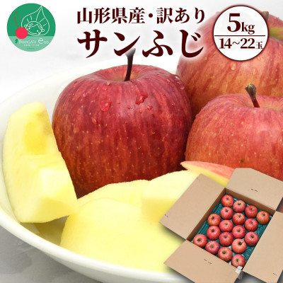 【訳あり】りんご サンふじ 5kg (約14～22玉前後) 山形県産 【令和7年産 先行予約】