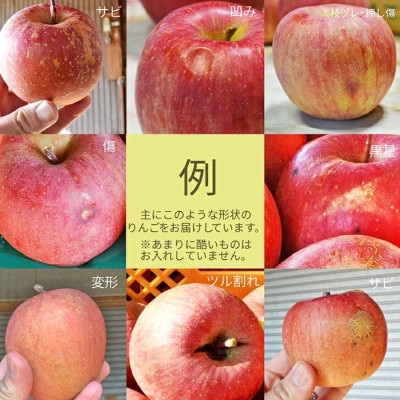 【訳あり】りんご サンふじ 5kg (約14～22玉前後) 山形県産 【令和7年産 先行予約】