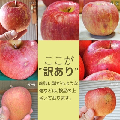 【訳あり】りんご サンふじ 5kg (14～22玉前後) 山形県産 【令和8年産 先行予約】