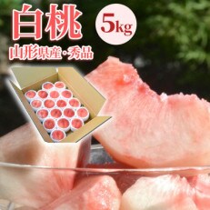 【令和5年産先行受付】白桃 大玉 5kg入り | ふるさと納税のお礼品