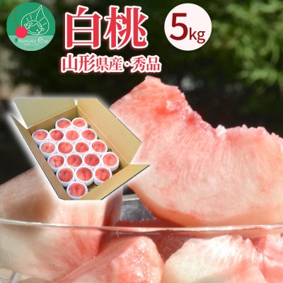 白桃 5kg(約16～20玉前後) ギフト用 大玉 品種おまかせ 山形県産 【令和7年産 先行受付】