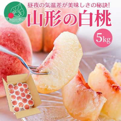 順次発送中! 白桃 5kg(約16～20玉前後) ギフト用 秀品 品種おまかせ 山形県産