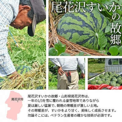 すいか 4L～5L(9kg以上) 1玉 山形県産 ギフト用 【令和7年度産 先行予約】