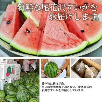 すいか 4L～5L(9kg以上) 1玉 山形県産 ギフト用 【令和7年度産 先行予約】