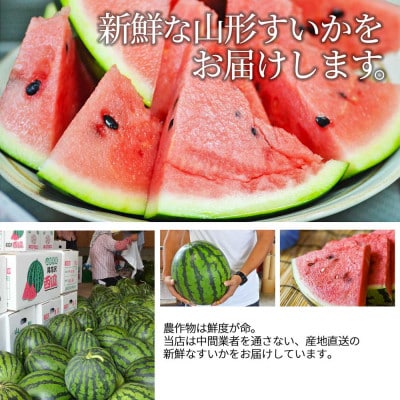 すいか 4L～5L(9kg以上) 1玉 山形県産 ギフト用 【令和8年度産 先行予約】