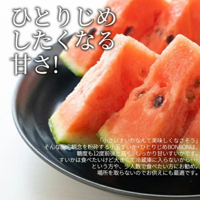 小玉すいか ひとりじめボンボン 2玉 (約3kg) 山形県産 ギフト用 【令和7年産 先行予約】