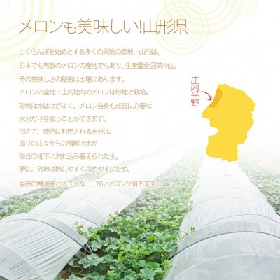【令和5年産先行受付】山形県 庄内産 赤肉メロン 訳あり 5kg (3～6玉入り)