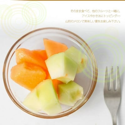 【令和5年産先行受付】山形県 庄内産 赤肉メロン 訳あり 5kg (3～6玉入り)