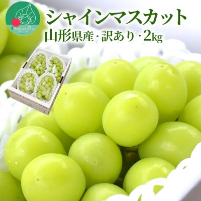 【令和6年産 先行受付】山形県産 ぶどう シャインマスカット 訳あり 約2kg