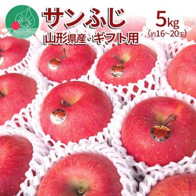 サンふじりんご 完熟 5kg(約16～20玉) 山形県産 ギフトBOX入り 【令和7年産 先行予約】