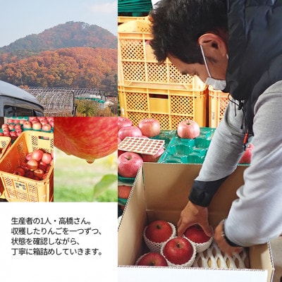 サンふじりんご 完熟 5kg(約16～20玉) 山形県産 ギフトBOX入り 【令和7年産 先行予約】
