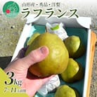 洋梨 ラフランス 3kg(7～11玉前後) 山形県産 【令和7年産 先行予約】