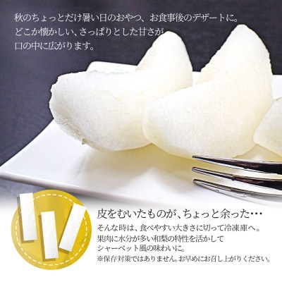 和梨 3kg ギフト箱入り 秀品 山形県 【令和7年産 先行受付】