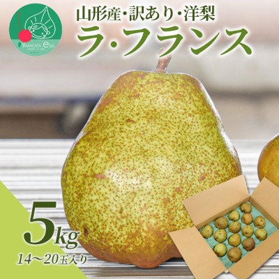 【訳あり】 洋梨 ラ・フランス 5kg ご家庭用 山形県産 【令和8年産 先行予約】