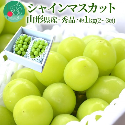 ぶどう シャインマスカット 2～3房 約1kg ギフト箱入り 山形県産 【令和7年産 先行予約】