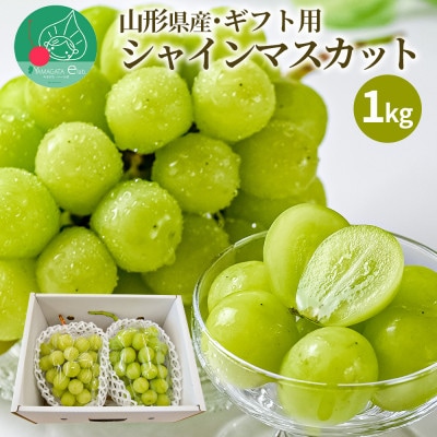 ぶどう シャインマスカット 2～3房 1kg ギフト箱入り 山形県産 【令和8年産 先行予約】