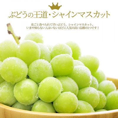 ぶどう シャインマスカット 2～3房 約1kg ギフト箱入り 山形県産 【令和7年産 先行予約】