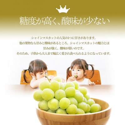 ぶどう シャインマスカット 2～3房 約1kg ギフト箱入り 山形県産 【令和7年産 先行予約】