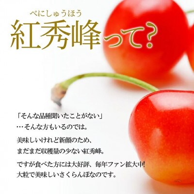 さくらんぼ紅秀峰 300g 大粒3L玉以上 特秀 化粧箱入 山形県産 【令和7年産 先行受付】