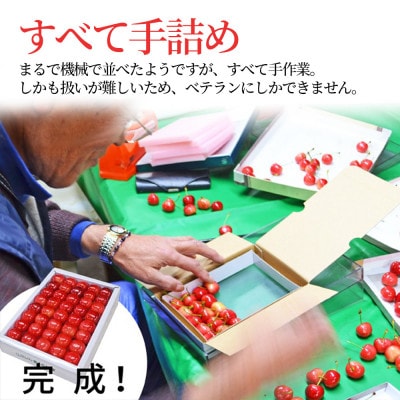 さくらんぼ紅秀峰 300g 大粒3L玉以上 特秀 化粧箱入 山形県産 【令和7年産 先行受付】