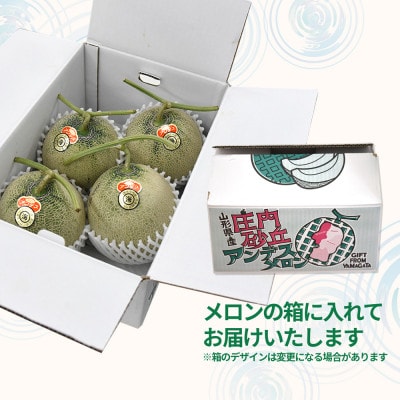 青肉メロン 4.5kg以上 (3～6玉入り) ギフト 山形県産 【令和8年産 先行受付】