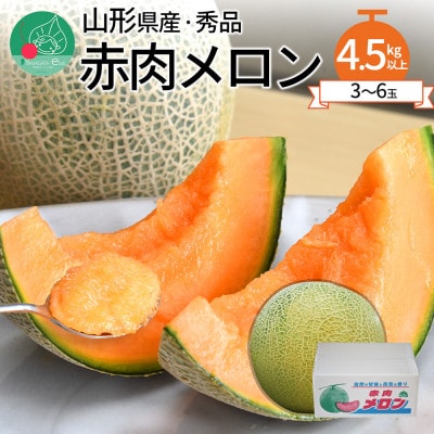 赤肉メロン 4.5kg以上 (3～6玉入り) 山形県産 ギフト 【令和7年産 先行受付】