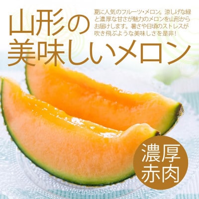 赤肉メロン 4.5kg以上 (3～6玉入り) 山形県産 ギフト 【令和7年産 先行受付】