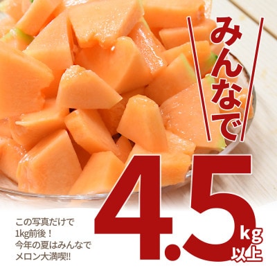 赤肉メロン 4.5kg以上 (3～6玉入り) 山形県産 ギフト 【令和7年産 先行受付】