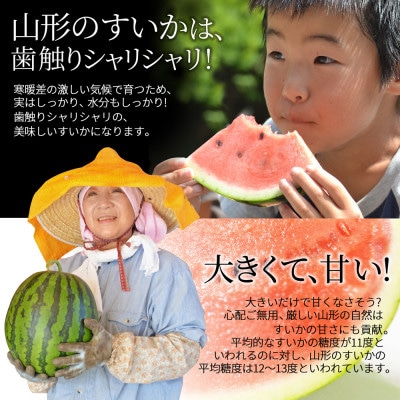 訳あり すいか 2・3L (約6.8kg) 2玉 山形県産【令和7年産 先行予約】