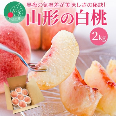 順次発送中! 白桃 2kg(6～8玉前後) 秀品 ギフト用 品種おまかせ 山形県産
