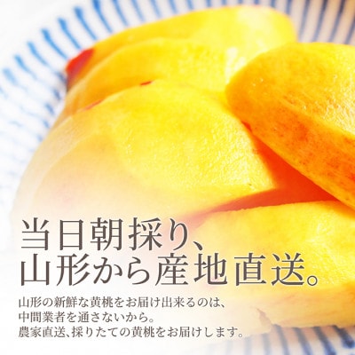 黄桃 2kg(7～12玉前後) ギフト用 品種おまかせ 山形県産【令和7年産 先行受付】
