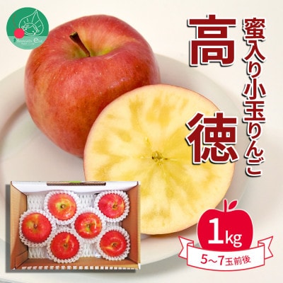 蜜入りりんご 高徳 1kg(5～7玉) 山形県産 ギフトBOX入【令和7年産 先行受付】