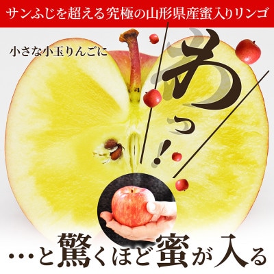 蜜入りりんご 高徳 1kg(5～7玉) 山形県産 ギフトBOX入【令和7年産 先行受付】