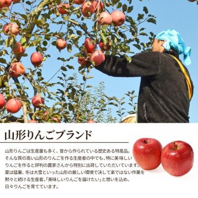 蜜入りりんご 高徳 1kg(5～7玉) 山形県産 ギフトBOX入【令和7年産 先行受付】